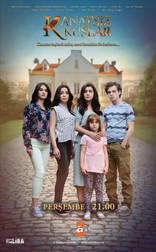 Птицы без крыльев   (турецкий сериал, 2017)