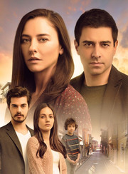Держись, сердце мое  все серии (турецкий сериал, 2017)